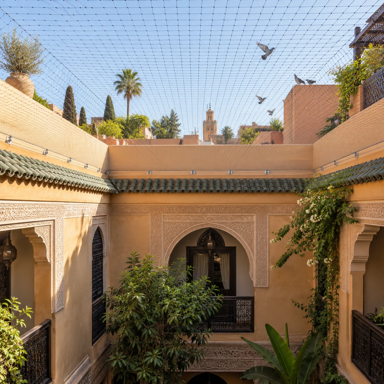 Illustration d'un filet anti-pigeons au-dessus d'une cour de riad